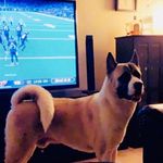 Broderick Williams - @broderick1000 - Instagram