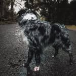 𝖡 𝗋 𝗈 𝖽 𝗂 𝖾 - @brodiebailey2 - Instagram