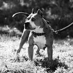 Brodie Ball-Mackay - Facebook