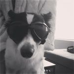 Brodie Ballard - @brodieballardband - Instagram