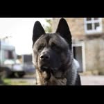 Barton Brodie B - @_brodiebarton_ - Instagram