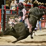 Brodie Bates - @brodeo_bates - Instagram
