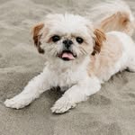 Brodie Baxter Aguilar - @brodiebax - Instagram