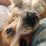Brodie Sterling - @brodiebaxterr - Instagram