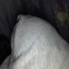 xedits - @brodie.becker8 - TikTok
