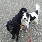 Brodie and Blake - @brodie_and_blake_ - Instagram