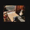 Brodie Charlie Blake - @3.crazy.dogs - TikTok