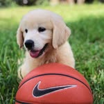Brodie “Bean” Buckets - @brodie_buckets - Instagram