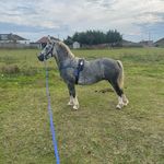 Brodie buckey - @brodie.buckley - Instagram