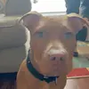 brodiechambers470 - @brodiechambers7 - TikTok
