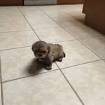 BrodieDoyle - @brodie0525 - Instagram