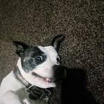 Brodie Evans - Facebook