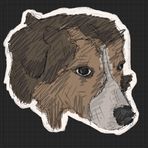 Brodie Evans - Facebook