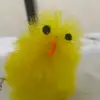 Brodie gray 123232 - @brodiegray2 - TikTok