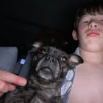 Brodie Gray - @trolls_gamingyt - Instagram