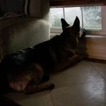 Brodie Hoffman - @brodiebear.hoffman - Instagram