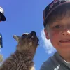 brodiehutton  - @brodiehutton_251 - TikTok