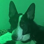 Brodie Larson - Facebook