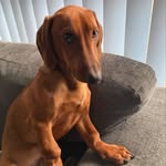 Brodie - @brodie_long_legs - Instagram