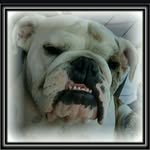 Brodie Lyons - @the_real_big_brodie - Instagram
