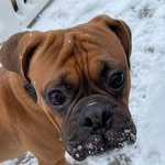 Brodie McLaughlin - @brodie_mclaughlin - Instagram