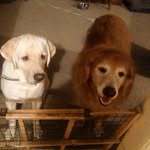 Brodie And Murphy - @brodie_murphy_ - Instagram