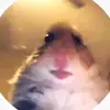 Brodie Murphy176 - @brodiemurphy01 - TikTok