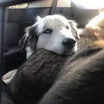 Brodie murphy - @buckets1285 - Instagram