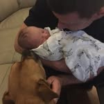 Brodiemurphy - @brodie_murphy - Instagram