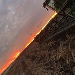 Brodie Orr - Facebook