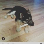brodie orr - @brodie.orr - Instagram