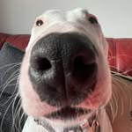 br0die - @brodie_ray_666 - Instagram