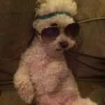 Brodie Ray - @brodmaster123 - Instagram