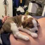 Brodie Rayment - Facebook