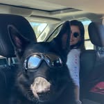Brodie Sue - @brodiesschmidt - Instagram