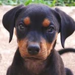 Brodie Schultz - Facebook