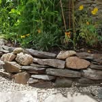 Brodie Scott - @brodiescottgardening - Instagram