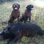 Brodie Shields - Facebook
