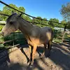 Brodie - @brodie.smith0000000 - TikTok
