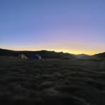 Brodie Smith - Facebook