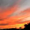Brodie Smith - @brodie.smith60 - TikTok