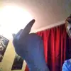 brodiewalker7 - @thataintitceif577577 - TikTok