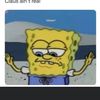 Brodie Warner - @brodie.tiktok - TikTok