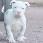 Brodrick Curry - Facebook