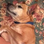 Brody Arnold Higgins - @brodyarnoldhiggins - Instagram