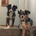 Brody Bauer - Facebook