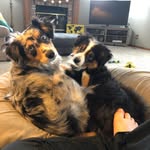 Brody Bauer - @bauer_brody - Instagram