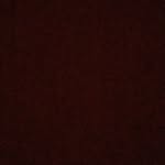 Brody - @brodybeaveridge - Instagram