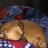 Brody - @beckbrody6 - TikTok