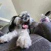 Brody Bell - @brody.bell68 - TikTok